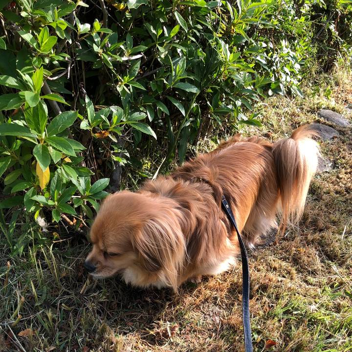 271b3ce8 c8a8 430a bc9d bf3ff628599a 1558477060931