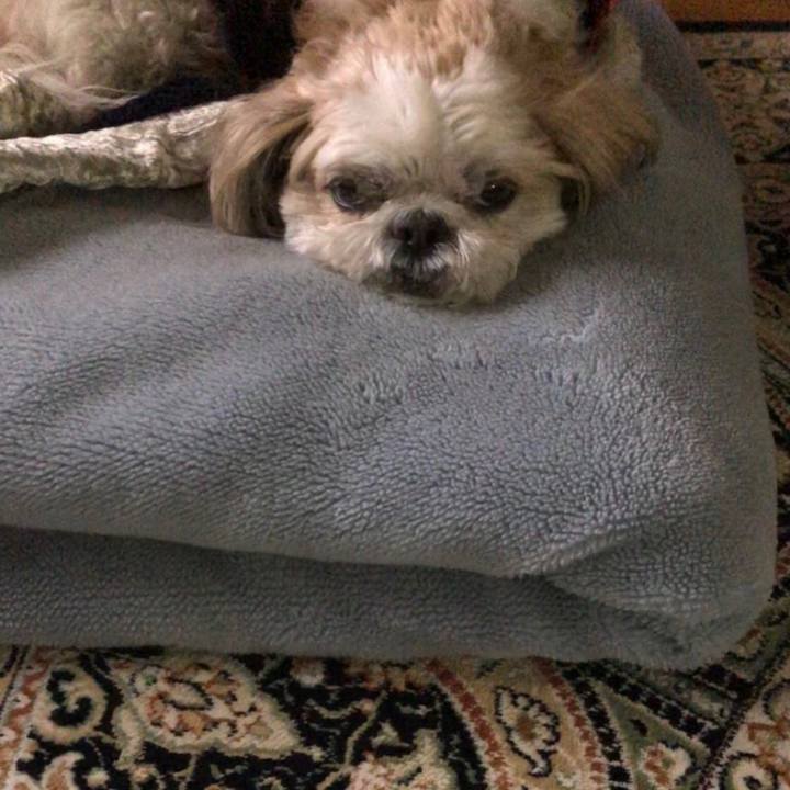 271beab8 74d4 4166 abc0 0c742756094b 1549057471592