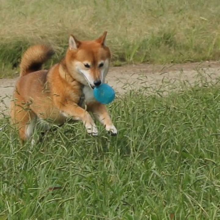 271bec2f 83b3 4c3a 8c29 44e14e5ff7fe 1539052306887