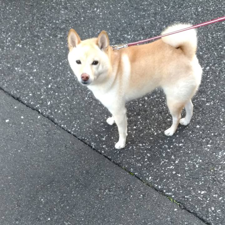 271c172b 501f 487f 88e0 3275b2e02786 1607294886819