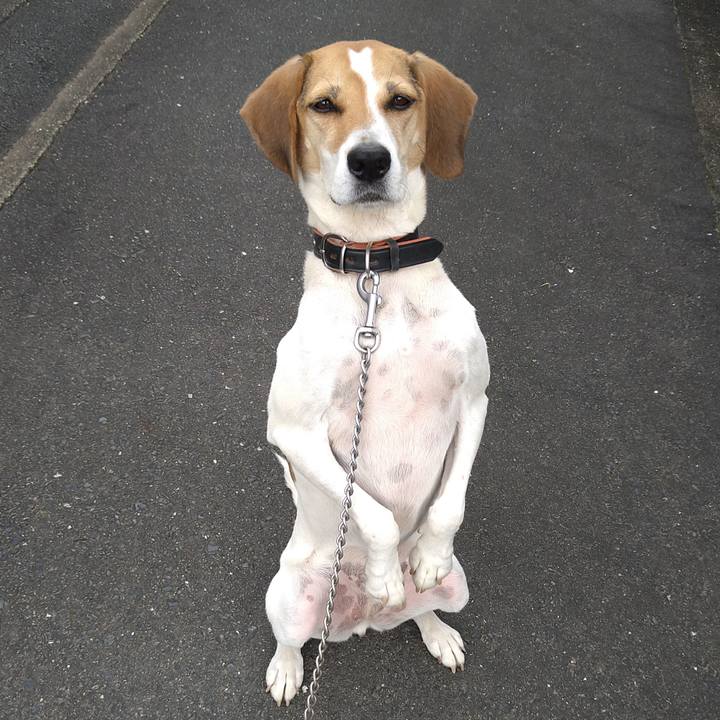 271c5a6a c96b 462b 9b8c 5d325c4dfec6 1634827991136