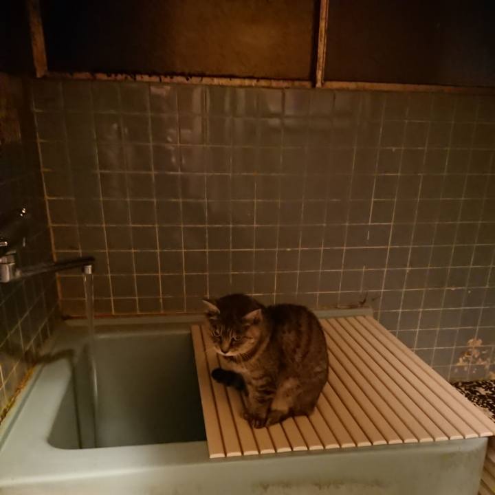 271c780b 92bb 42cc 84d7 e1fa00525867 1573808889165