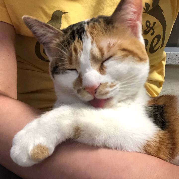 271cea06 9ef5 4d29 acd8 75d530676f3e 1588751192401