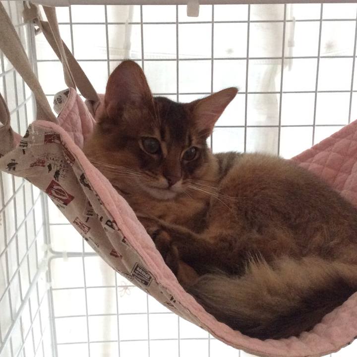 271d0266 f19e 4479 b358 904d12dbce7e 1574911232329