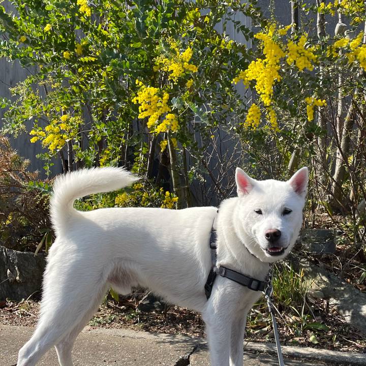 271d149e 9c90 49ce 8fa4 ad4002165294 1613875904029