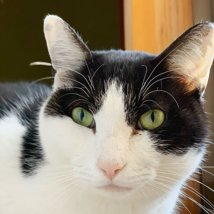 271d14de d47d 4a2c 93dd af861387bb85 1585014472293