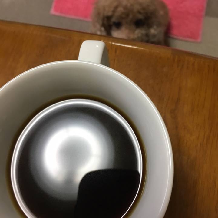 271d1ea4 03f2 4f1e b344 2e916762bfe2 1588606023586