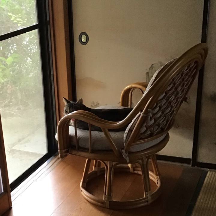 271d2cb5 0fa9 443b a333 9bf64f53bac7 1600644134435