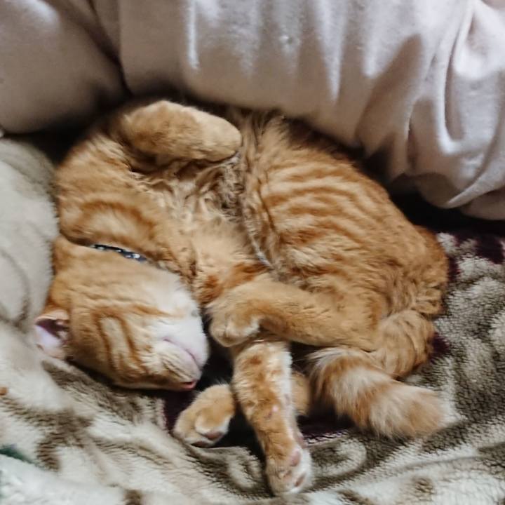 271d5f37 7b0e 4518 b74c 10573298c9b8 1642422122887