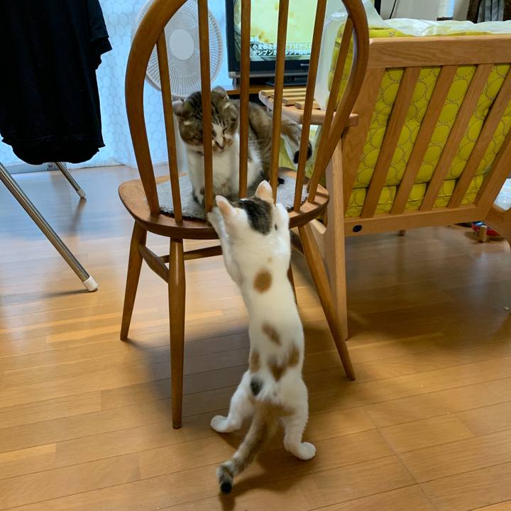 271da0ba f07b 40cc 841e c3642ab7214e 1594455627906