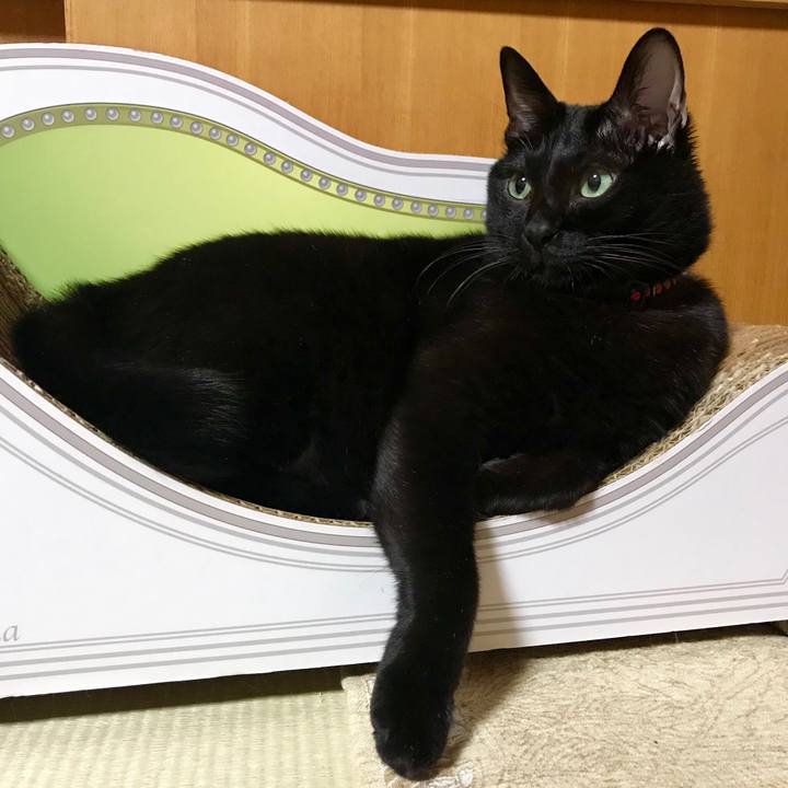 271df027 e3db 4fe8 8a52 38c08eb5dcd8 1545398998316