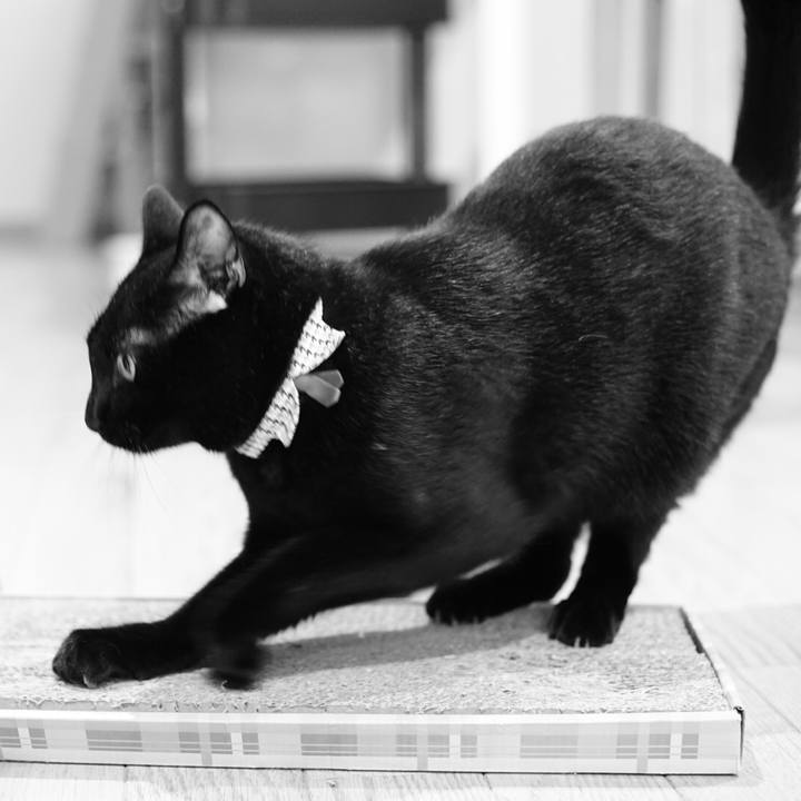 271e12c6 ade9 4641 b26f 9ba4bc25e2d4 1536226318597