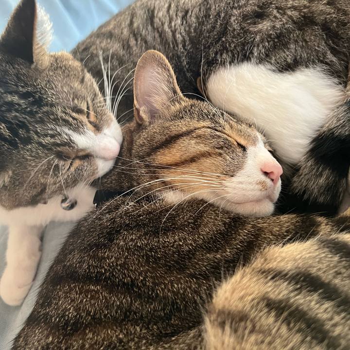 271e232f 2ac4 4a42 b00e 5bd0e4ec762b 1765848111323