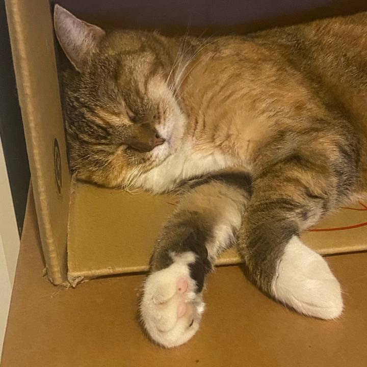 271e48c2 af69 4c01 9b6e 4f8b975813d5 1725686577741