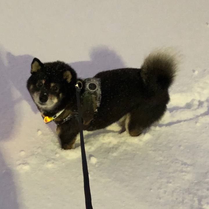 271e7019 7269 443f 8985 222bdcee54df 1544175934736