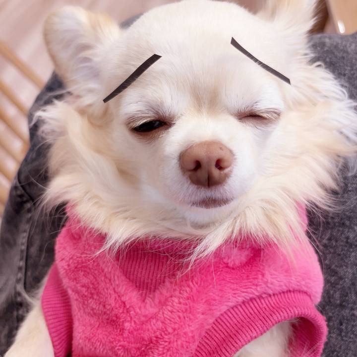 271e9e5c 2217 4fea 86f2 1e7fe299d633 1740730315278