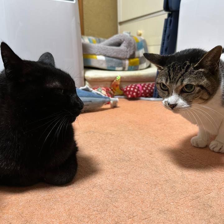 271ea151 220f 4659 ae95 37cdf7d4158d 1671328513163