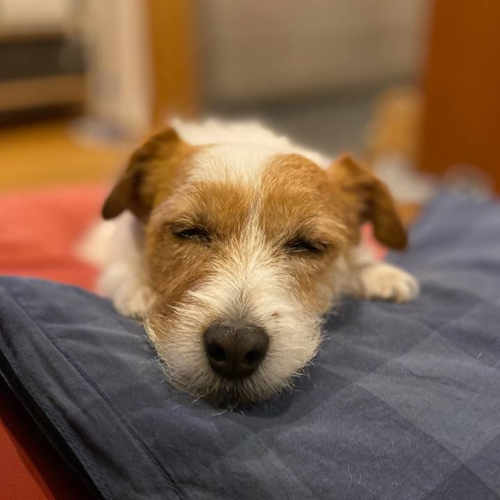 271ea46d 729a 453b b5e9 273ebff7b72f 1621684529671