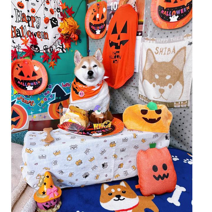 271ebcb1 04d2 4ec9 9f3d 2669b3e71518 1698545364347