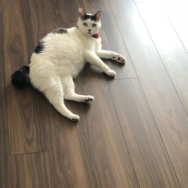 271ef6cd 52ce 440f b14c 248331a6934d 1531178685587