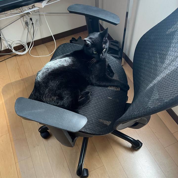 271ef7b2 7c59 4f75 8181 81bcd1e94b5d 1698622979242