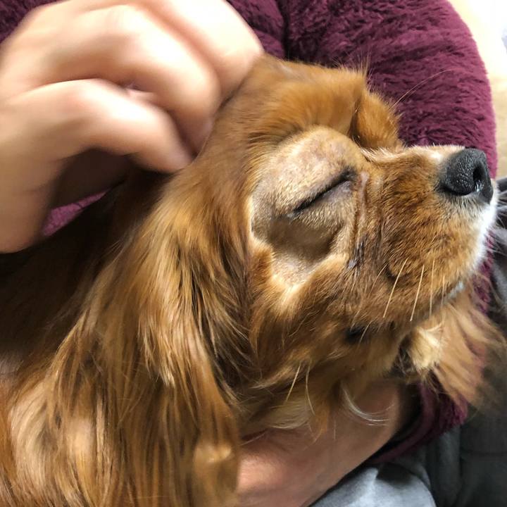 271f01cf ed34 45ff 8f47 b8355ff534b2 1582329628520