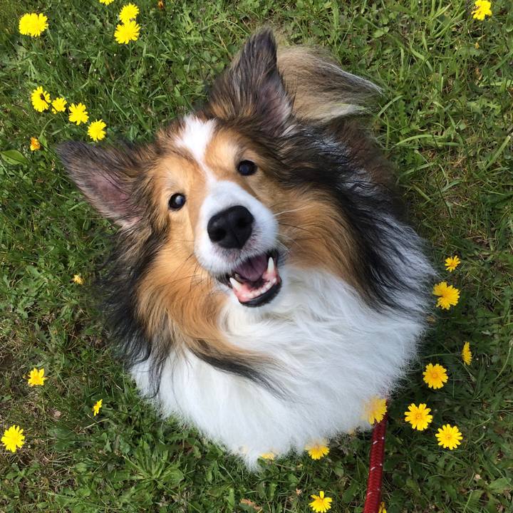 271f0d7e 3f08 41b7 ae9d d31cf0a80707 1582029547684