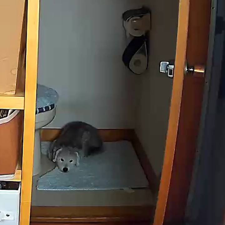 271f0d8d 7aae 42e9 a89a c34f67dfd70d 1601515314141