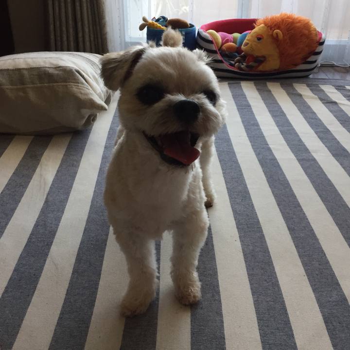 271f2ae2 f812 4291 85e6 b0cf438f739b 1534235653991