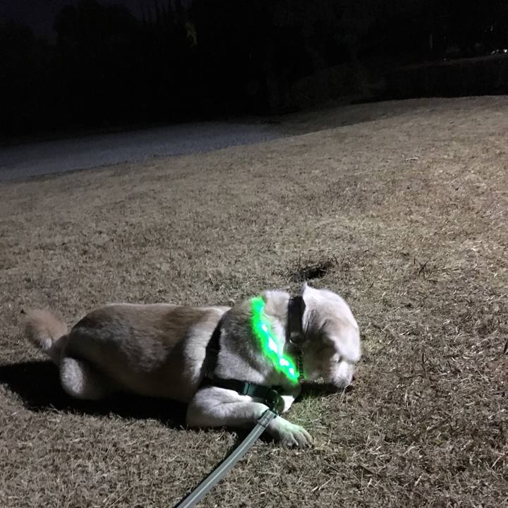 271f44f9 e1c8 49f1 b9c9 3265dbec9f33 1515160019052