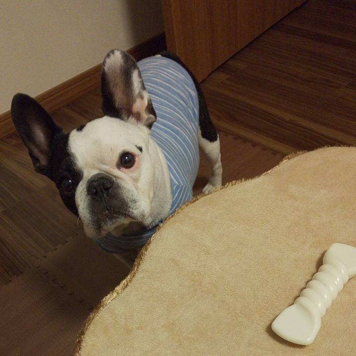 271f52ff c6f3 44ba 977c 642f1307f776 1547127804578