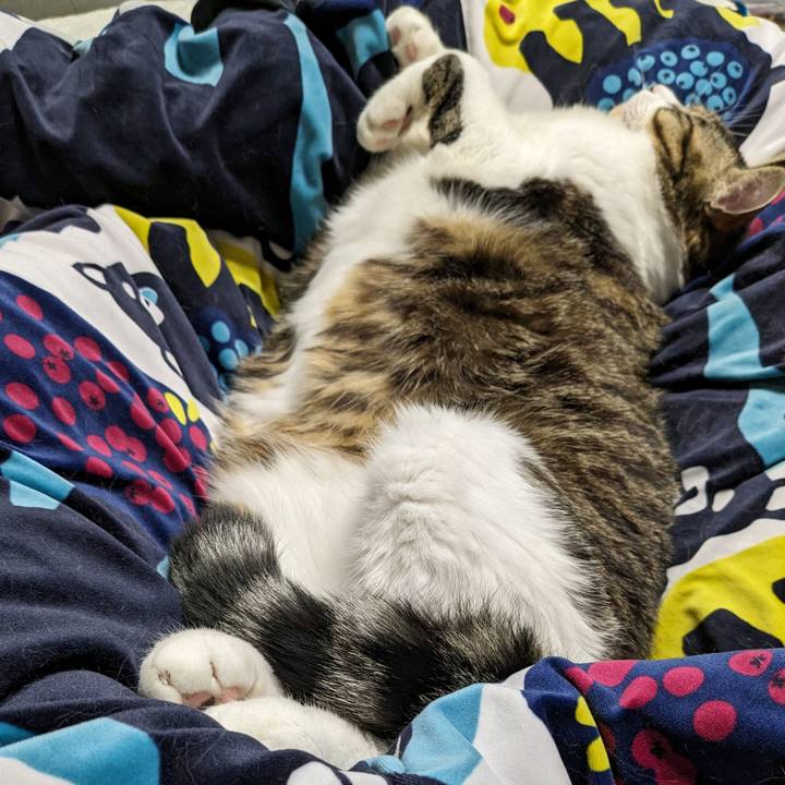 271f7757 e18d 44aa 8d01 22a2b7cf3477 1705154683264