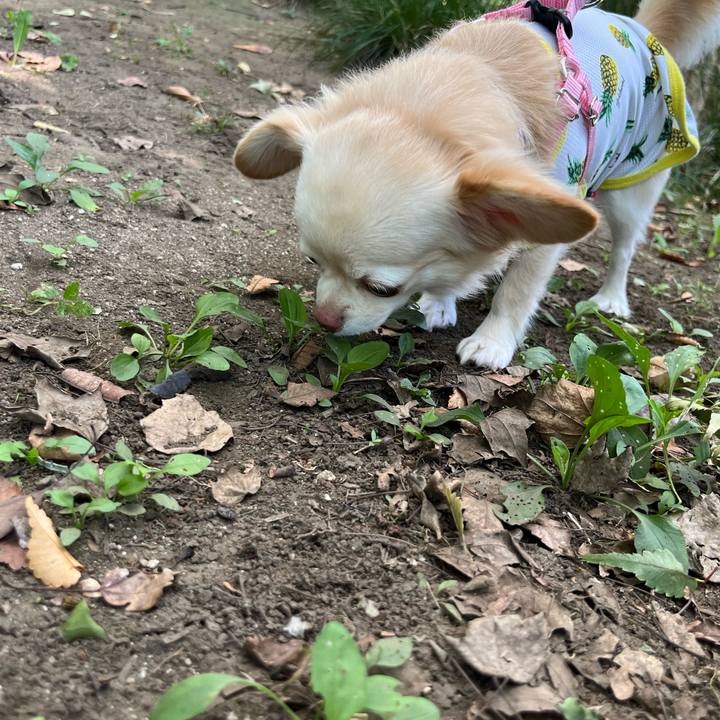 271fc98e 27d8 4134 8c47 c454238c5393 1726396443980