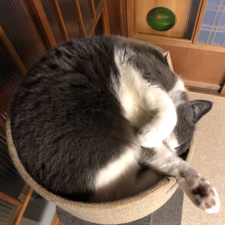 271fd74f bfa5 47c8 967f 0778eba016a5 1602979336819