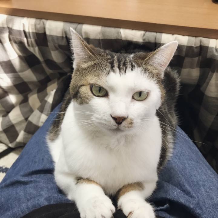 27200550 7f59 4db5 bd85 c8451406c91d 1541648708820