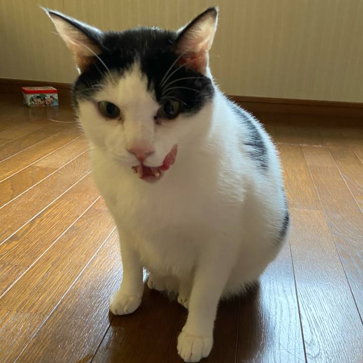 272021a3 ece0 4f52 aa43 003d4684cb44 1583581527215