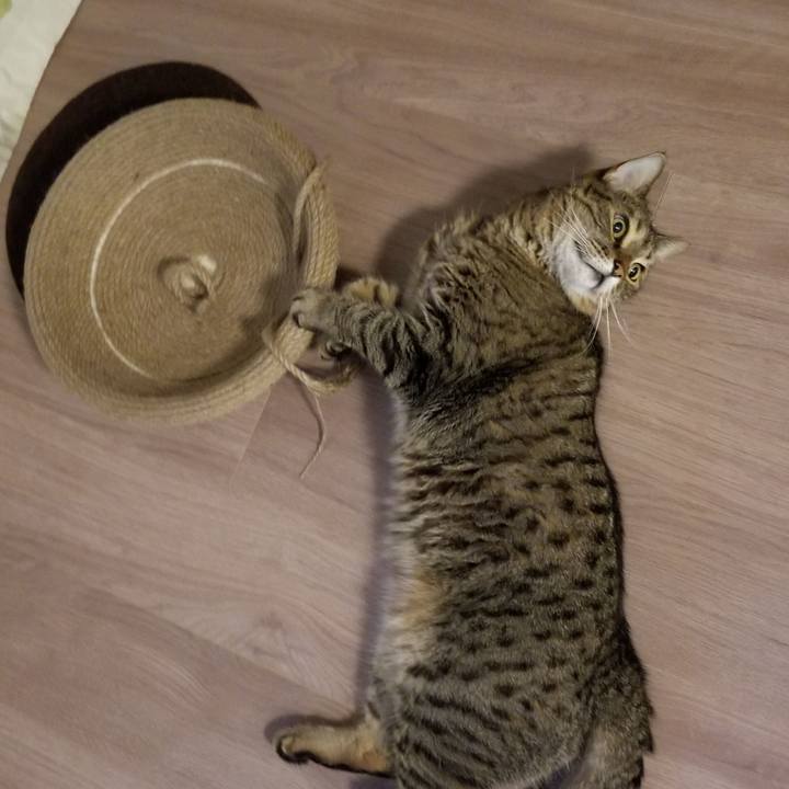 27203576 0a3c 4aa6 a4d8 cce056b936ad 1599623581138