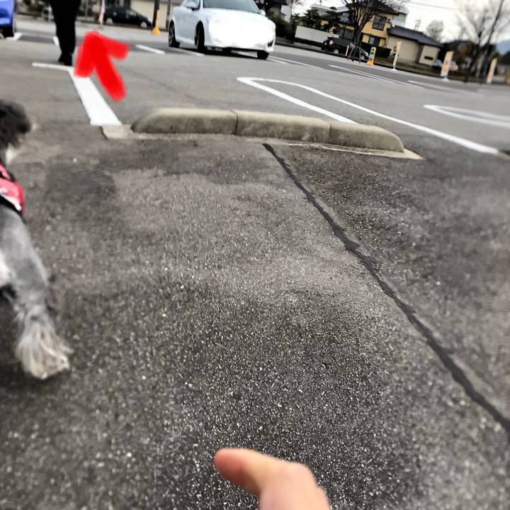 27205676 200b 493e 8b1f 31111855eda7 1575715715835