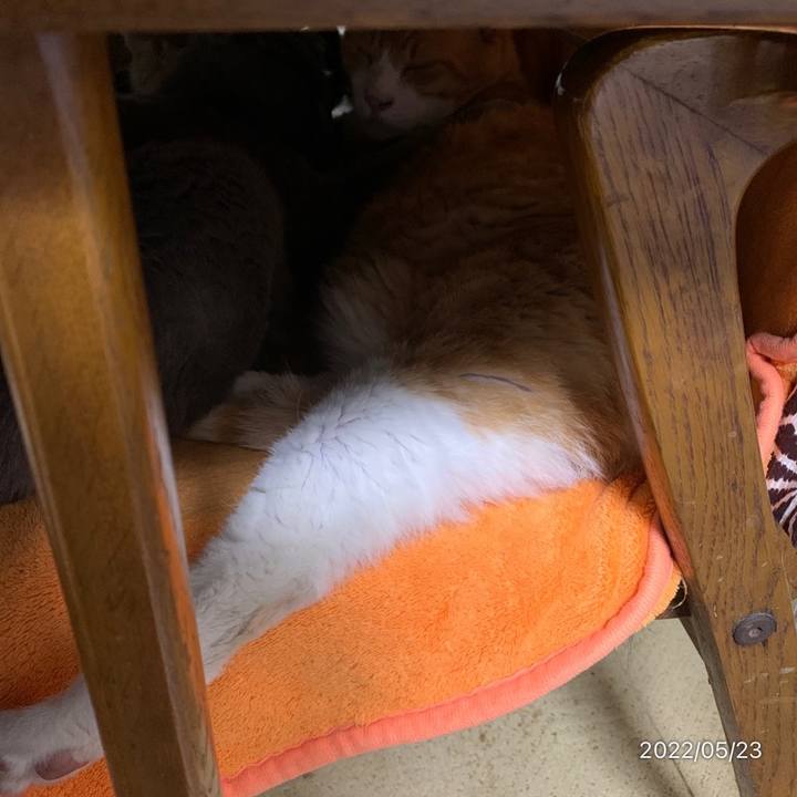 27206a85 93f3 45c2 aaff 03f4fadd550b 1653313173835