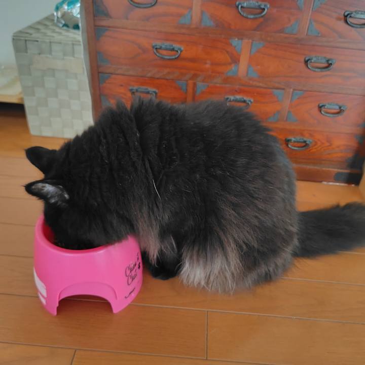 272080f6 015c 4e7a 9c48 d4fc8dbb98fd 1756942714238