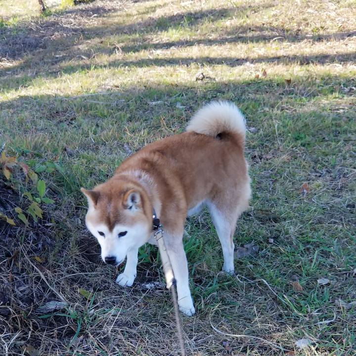 272082b2 2033 4b3c 9256 9f63c085d2a3 1667195368714