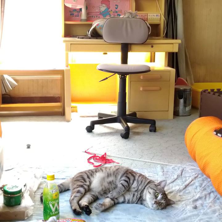 27208ddf 4f9d 4df7 b025 13ff901e56fb 1590812970914