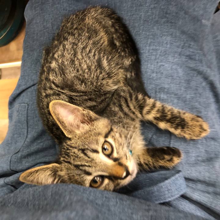 2720b2bb e145 49dc 93cc 4027a2c18e0f 1603243849623