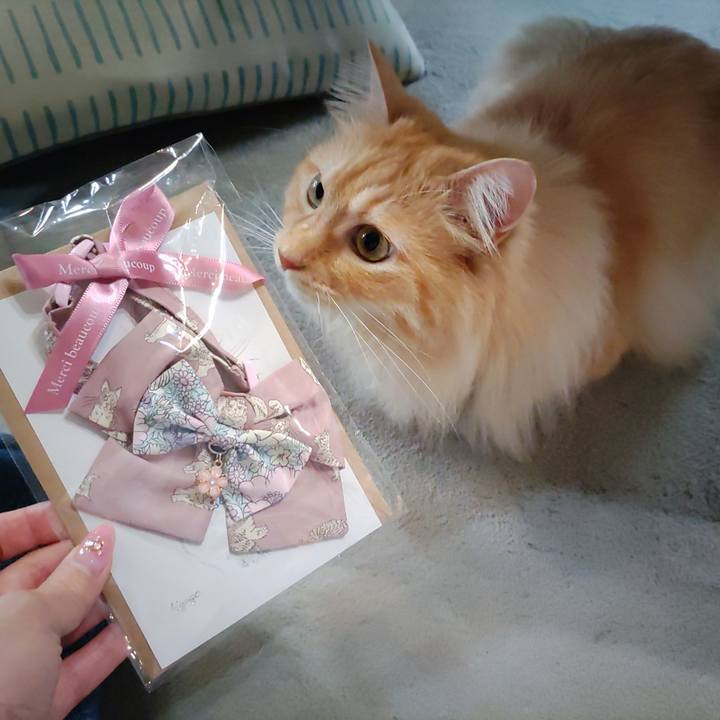 2720e55b a816 4406 8bb2 c8f3ed011942 1716869576582