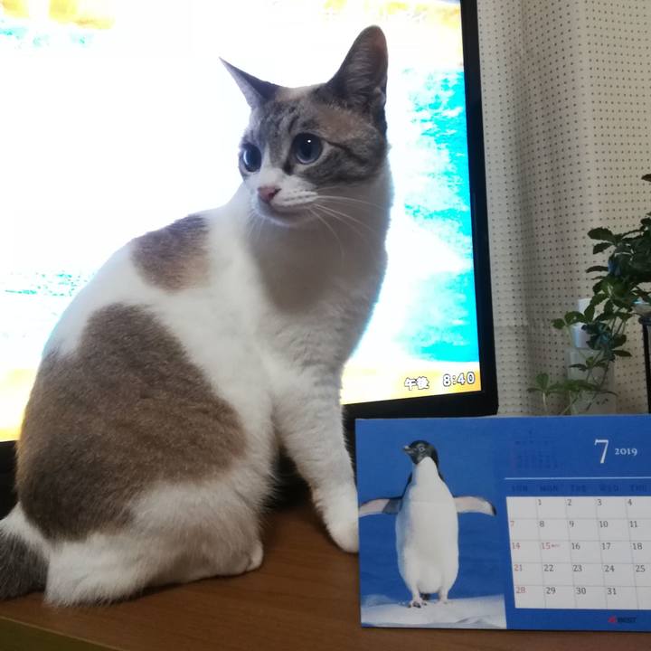 2720f566 9df1 4a5c aab0 83eb589f2379 1563887114807