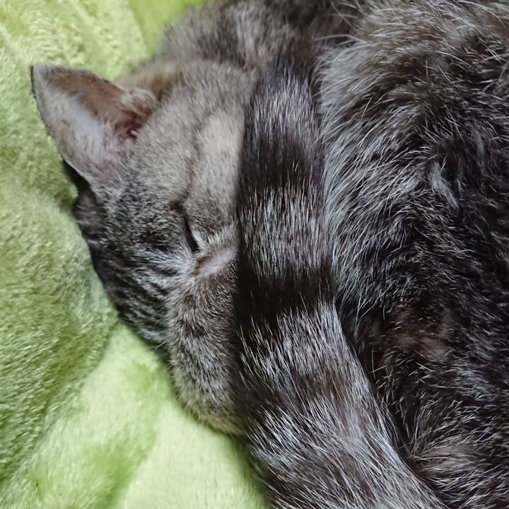 27212178 43e4 415b b710 e275f9abeb18 1582446237554