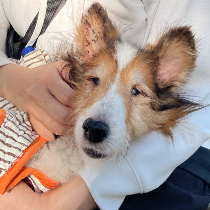 272125a8 1da7 4524 adbc 112519124297 1665390913103