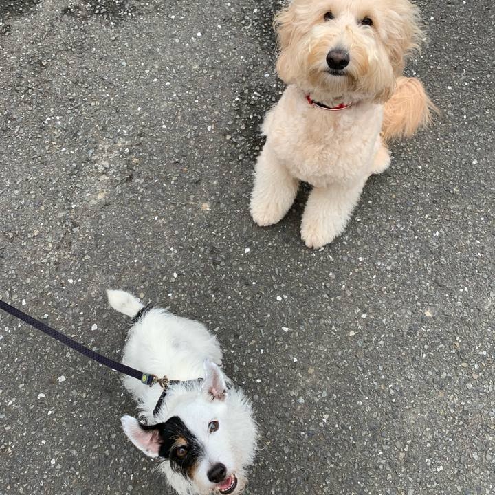 272140a0 087f 4515 8463 a988cee517ca 1695424600538