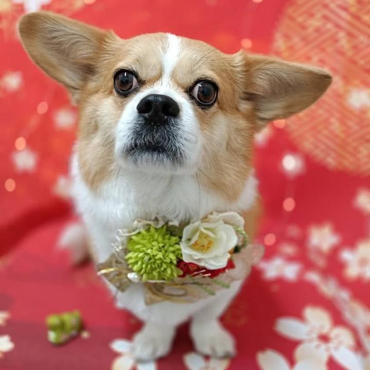 2721512b b6fc 430e 9a2f 13ba8f3ba336 1736256151693