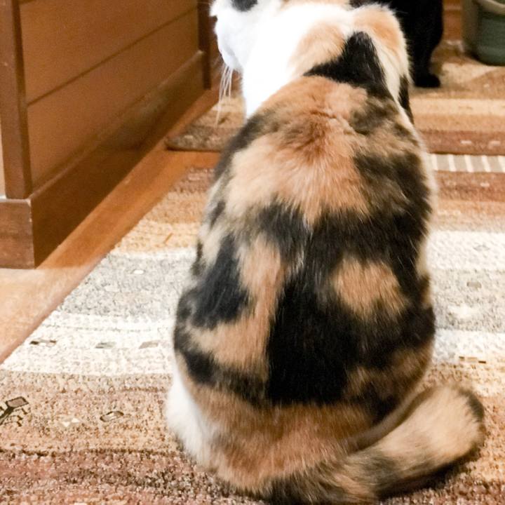 2721f253 bfa8 4ad1 85be 8ef63298ca30 1528680584940